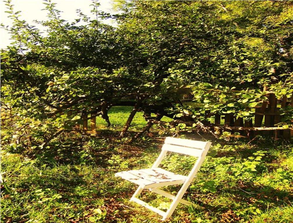 Le Moulin Fleuri Du Petit Appeville Exteriér fotografie