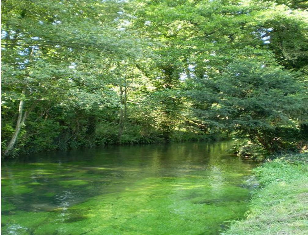Le Moulin Fleuri Du Petit Appeville Exteriér fotografie